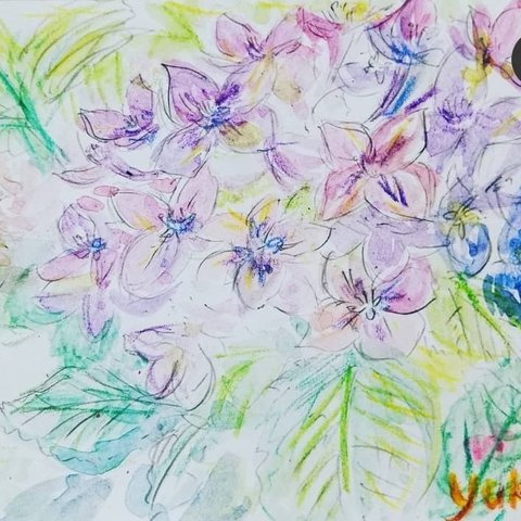 【水彩画】紫陽花