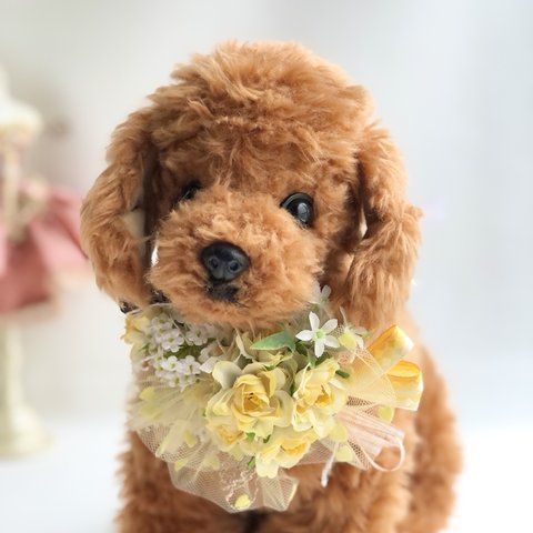 犬お花チョーカー≪イエロー薔薇≫　写真撮影　トリミング　首飾り　犬猫アクセサリー　ヘッドアクセ　うちの子　結婚式