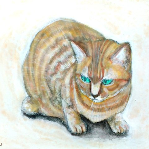 Tiger Cat at the Gaden  庭の虎猫　真作　アクリル、色鉛筆絵画