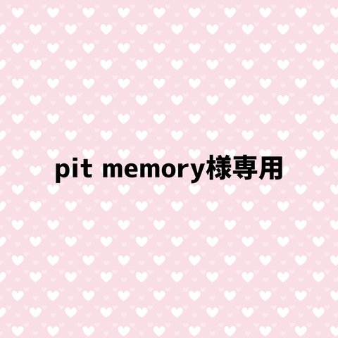 pit memory様専用