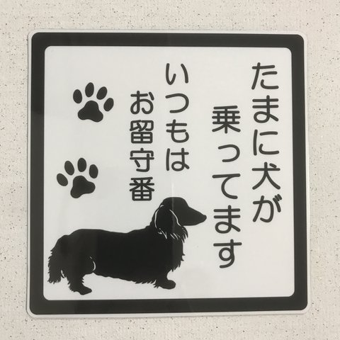 たまに犬が乗ってます2