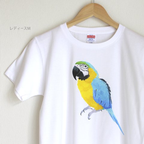 p-jet　ルリコンゴウインコ Tシャツ　 / 鳥　インコ　オウム　大型インコ 