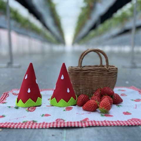 Strawberry hat🍓
