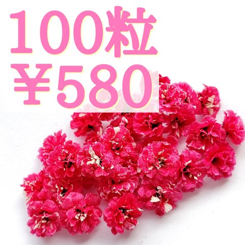 かすみ草ドライフラワー100粒セット(ルビー)