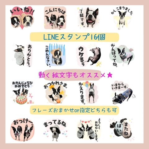 うちの子スタンプ【16個】♪ペットの写真でつくるLINEスタンプ♡LINE動く絵文字