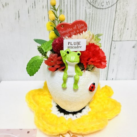 再販😊母の日限定カエルさん🐸からカーネーションプレゼント💕