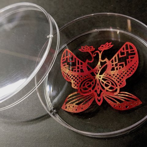 シャーレの中の切り絵の世界　蓮の蝶