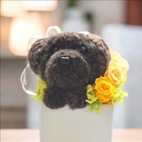 もこペット【犬 コーヒー】プリザーブドフラワー 毛糸 花 犬 ペット トイプードル  ペット お供え  誕生日  フラワーギフト