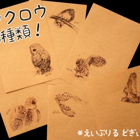 【ミニレター】ふくろう 鉛筆画シリーズ 6種30枚入