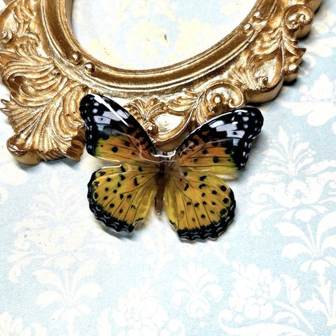 ツマグロヒョウモンのブローチ　蝶のブローチ