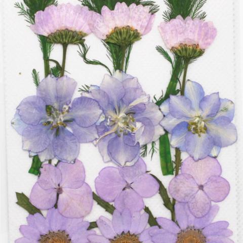 ドライフラワー　押し花　DIY用　薄紫系セット