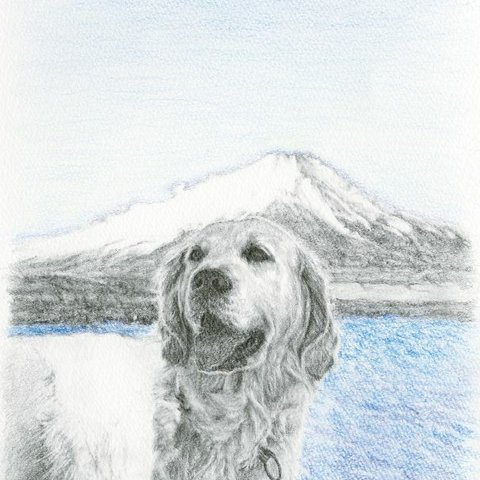 わんこ の鉛筆肖像画＊ゴールデンと富士山
