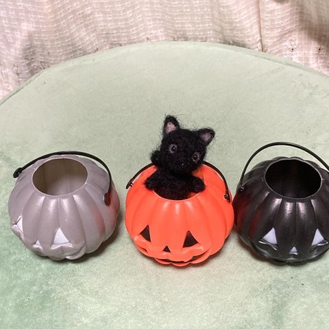 黒猫 ハロウィン