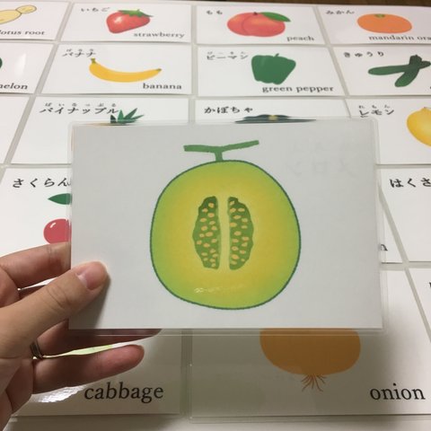 野菜と果物の断面図カード  英単語付き  26枚