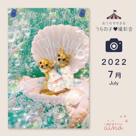 【送料無料】うちの子♥撮影会2022【7月】リトルマーメイド | 犬 猫 ペット 名入れ 写真 オーダーメイド