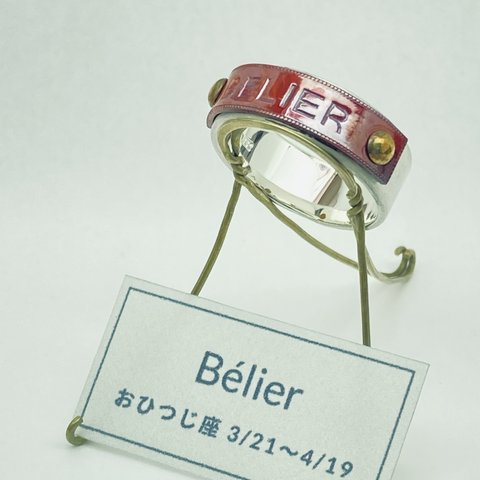  ☆受注作品　星座リング1【牡羊座 BELIER】