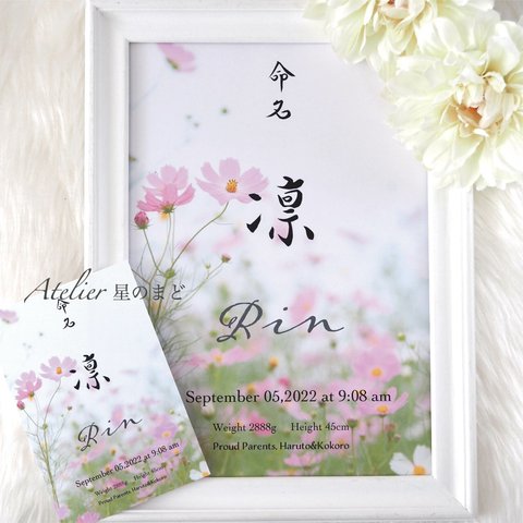 命名書☆オーダー☆おしゃれな誕生月・季節花の命名紙☆秋桜（コスモス）のお花 A4 A3 サイズ＆葉書サイズのお得なセット♪