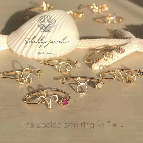 The Zodiac sign ring 12星座 星座リング イニシャル 可 オーダーメイドリング オーダーリング 名入れ 文字入れ イニシャル ファランジリング フォークリング アルファベット