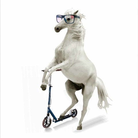 乗る　　ポスター　A4 　アート　イラスト　グラフィック　 seiで検索　誕生日プレゼント　結婚祝い　新築祝い　贈りもの　ファンタジック　モノトーン　かわいい　おもしろい　動物　馬　m-151