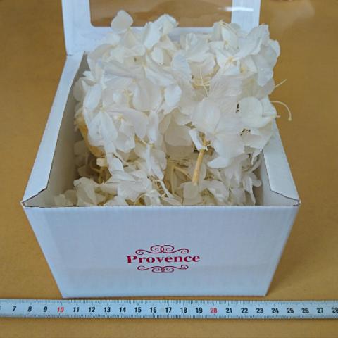 プリザーブドフラワー 紫陽花アジサイ 1箱 ホワイト