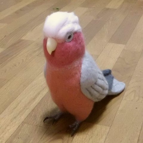 リアルサイズ モモイロインコ 羊毛インコ life size Galar 工房小鳥屋さん 羊毛フェルト 粉紅鳳頭鸚鵡 鳥のオブジェ リアルバード 受注制作