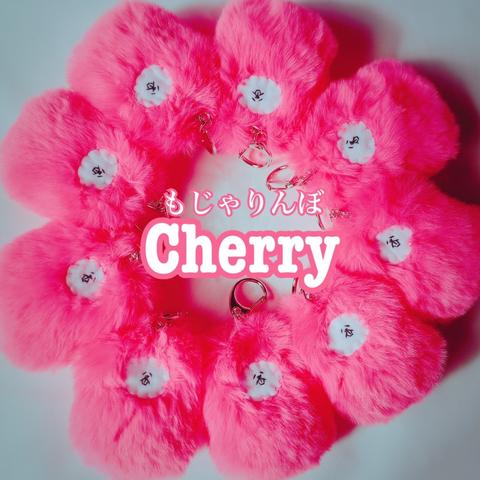 うさぎすんシリーズ☆産まれたてVersion☆『もじゃりんぼ』CHERRY