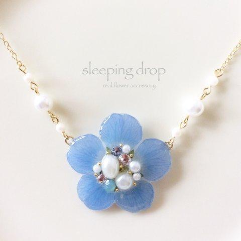  Nemophila pearl necklace 2017