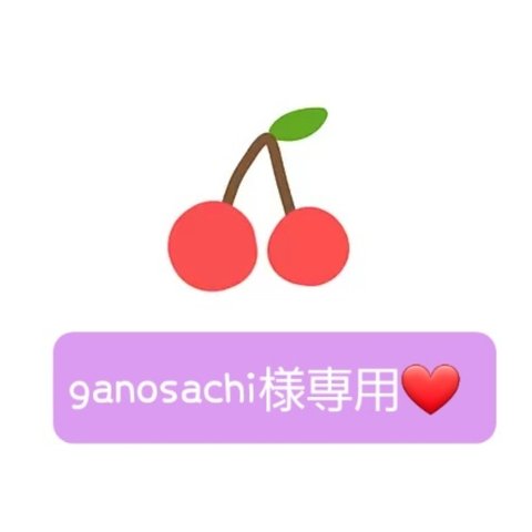 ganosachi様専用💓ネームタグ&巾着(計8点)