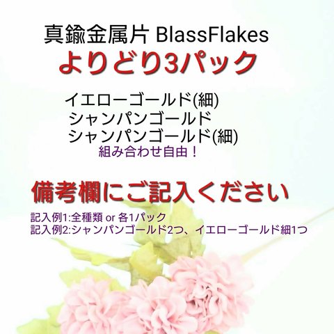 真鍮金属片 Brass Flakes よりどり3パック