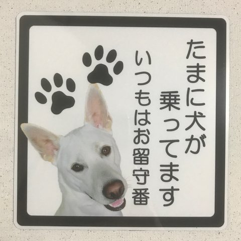 たまに犬が乗ってますステッカー(1匹用)2