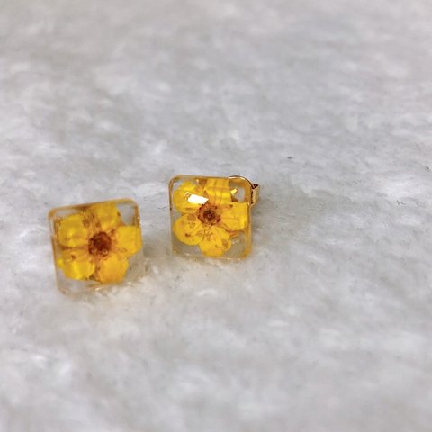 押し花ピアス(黄色)/イヤリング/レジン/タイル