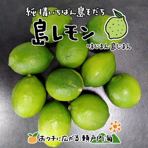希望の島 グリーンレモン 2kg～ 家庭用 愛媛県 中島産 国産レモン