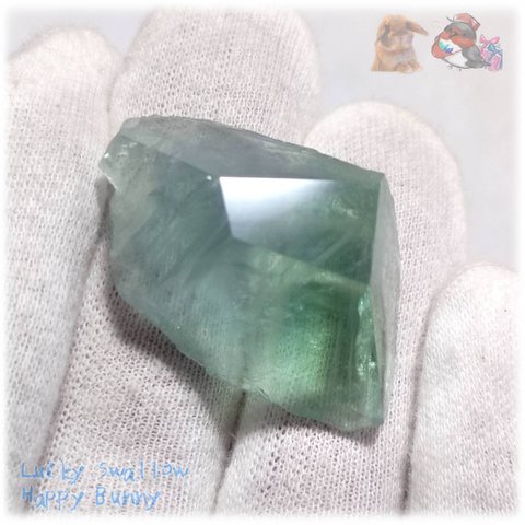◆ 磨かれた グリーンフローライト 結晶 蛍石 原石 M53