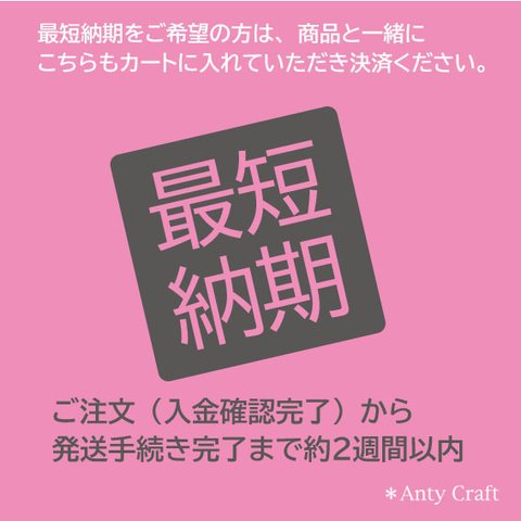 【最短納期】ご希望のお客様はご購入ください。 必ず商品説明をご一読ください 