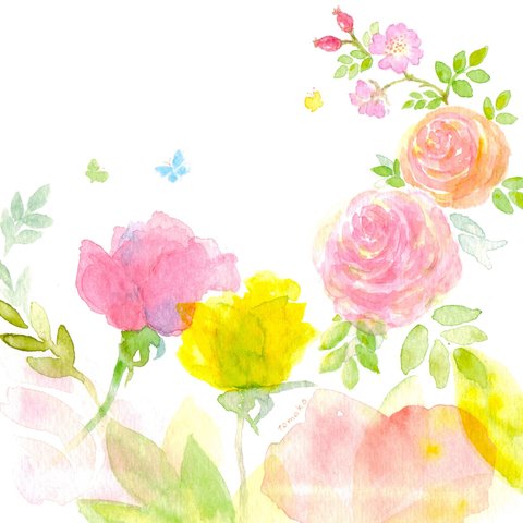 薔薇の絵葉書