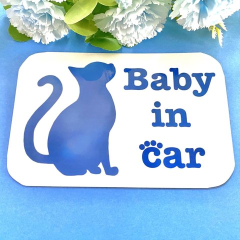 Baby in car ネコちゃん