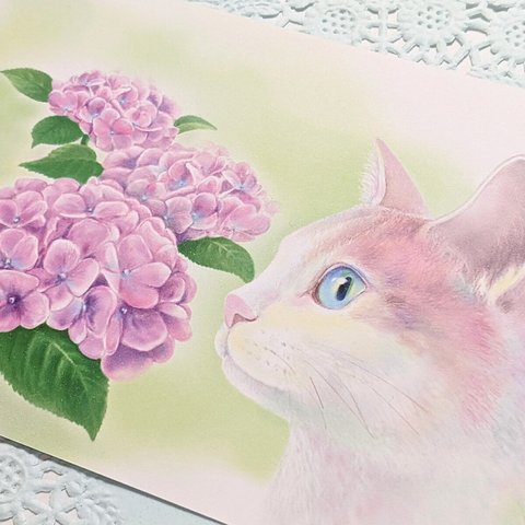 ❺花と猫 (葉書3枚セット)