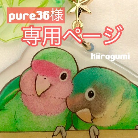 pure36様専用ページ（コザクラインコ&ヤエザクラインコ