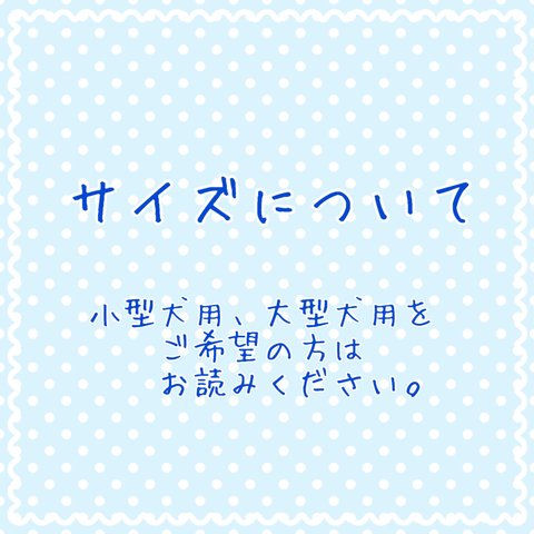 クールリボン　サイズについて