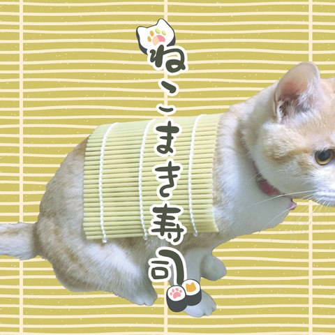 ちゃしろ猫ミャアーのオリジナルポストカード-巻き寿司