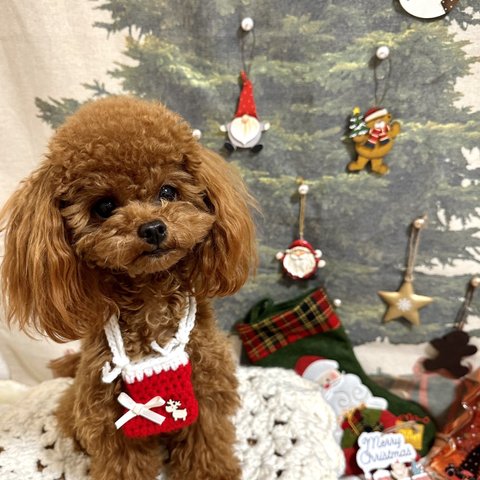 ペット用𖥍↟⌂*クリスマスブーツチョーカー/ポシェット（リボン＆トナカイ付き）𖥍↟⌂*紐の長さ調節可能（30〜60㎝）超小型犬サイズ