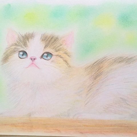 手描きイラスト＊猫