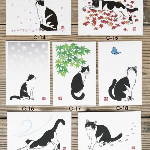 選べる猫のポストカード　5枚セット「C」
