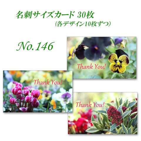 No.146 かわいい春の花   名刺サイズカード　30枚