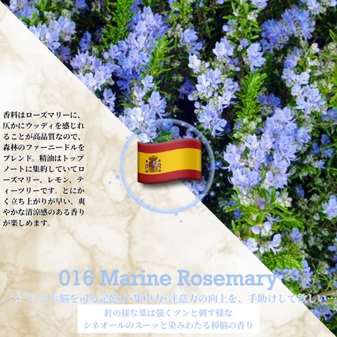 016：マリン･ローズマリー /Marine Rosemary　(試香用サンプル配布)　＊香り詳細と商品紹介＊