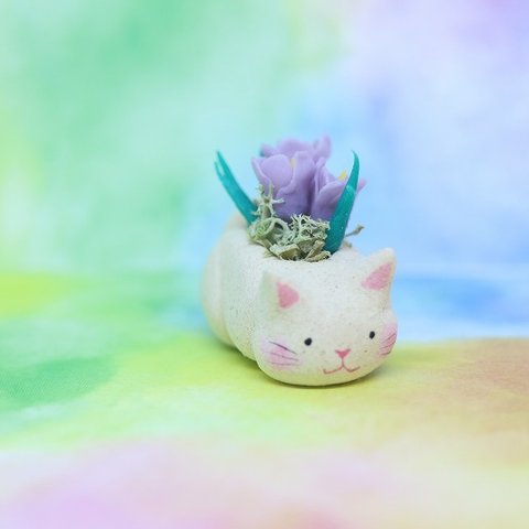 猫鉢（大）クロッカス・紫・顔アリ
