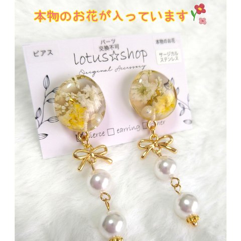 ピアス　イヤリング　レジン　本物のお花　No.013