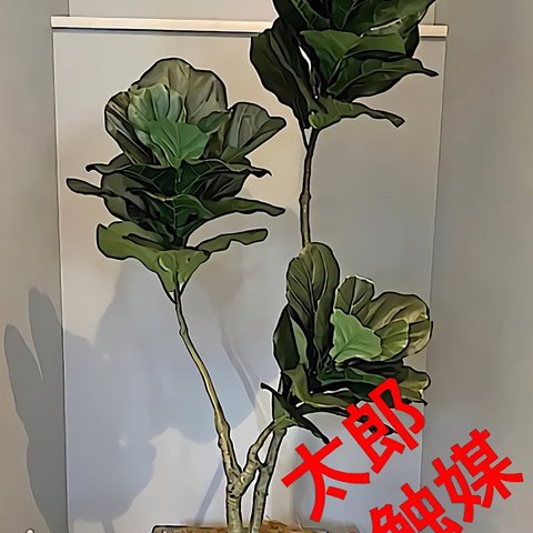 光触媒　人工観葉植物　ウォールグリーン　フェイク　フラワー　カシワバゴム145