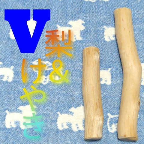 V.けやき梨の木新品.犬用おもちゃ、小型犬向け歯固めかじり木