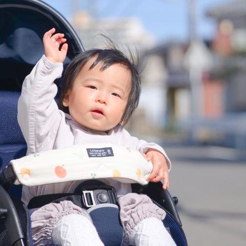 ベビーカーのフロントカバー/りんご